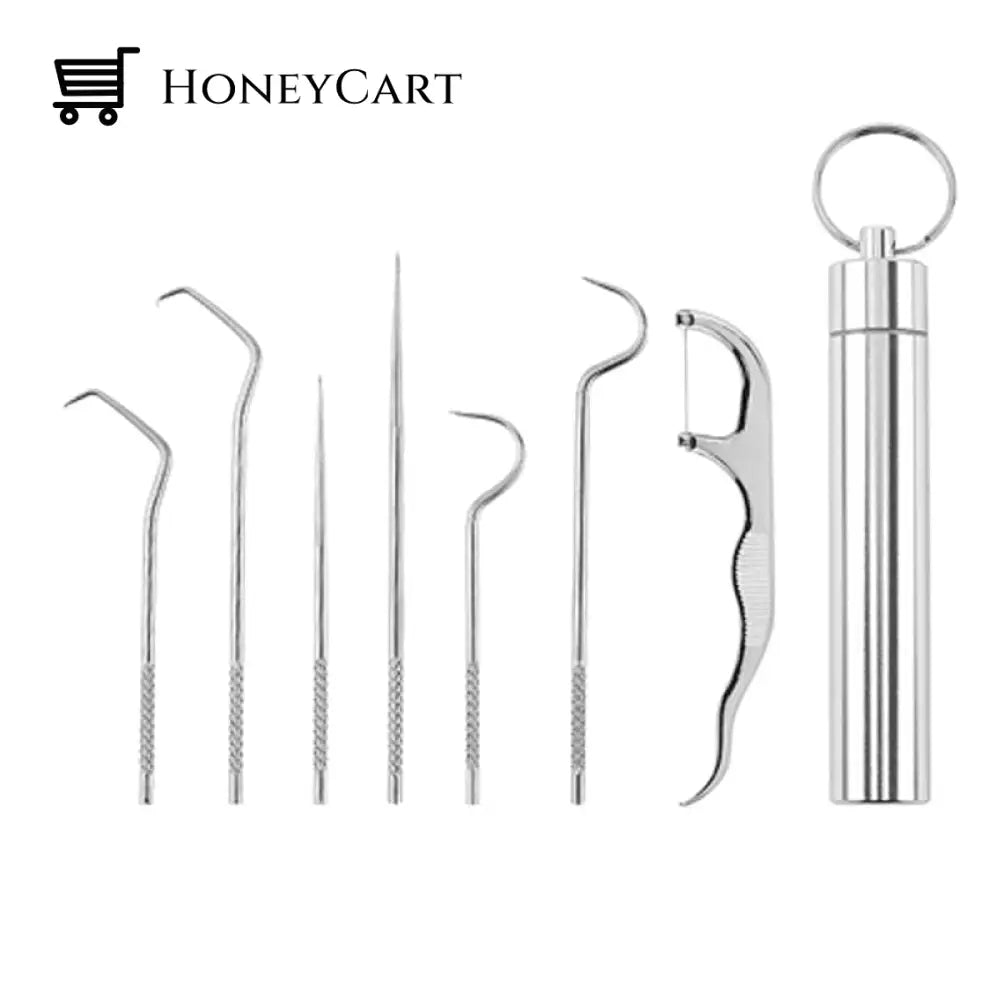 Stainless Steel Toothpick Set