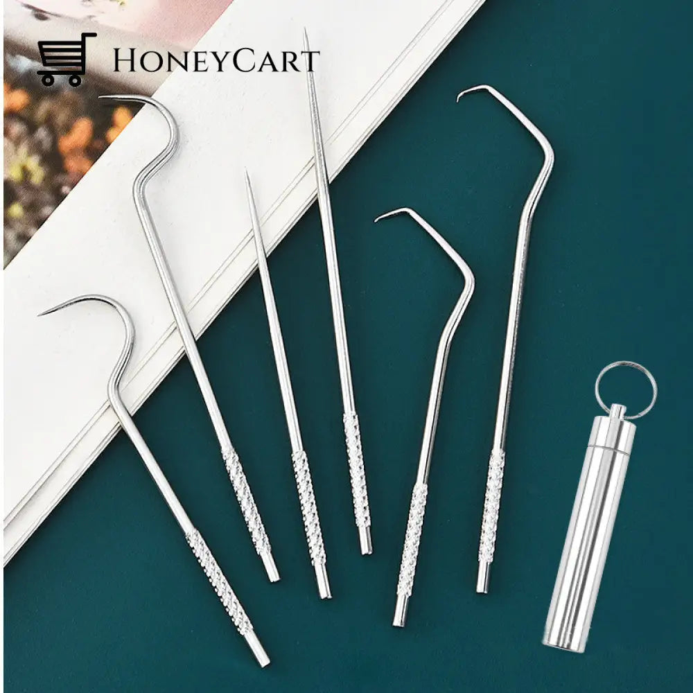 Stainless Steel Toothpick Set