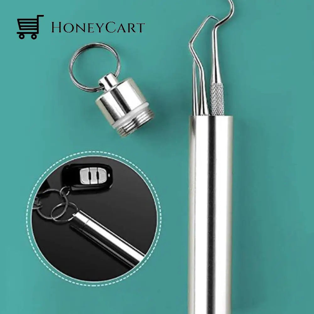 Stainless Steel Toothpick Set