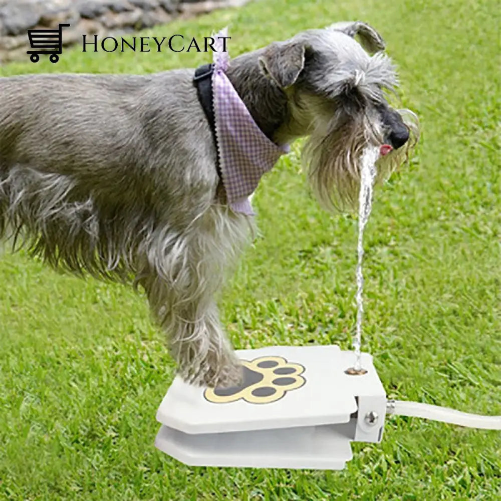 Step-On Dog Fountain