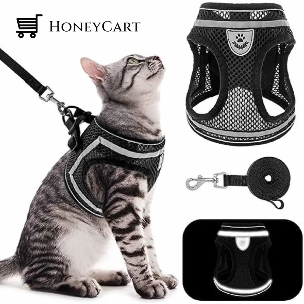 \The True Adventurer\ Reflective Cat & Kitten Harness And Leash Set Black / S Wjj-0722