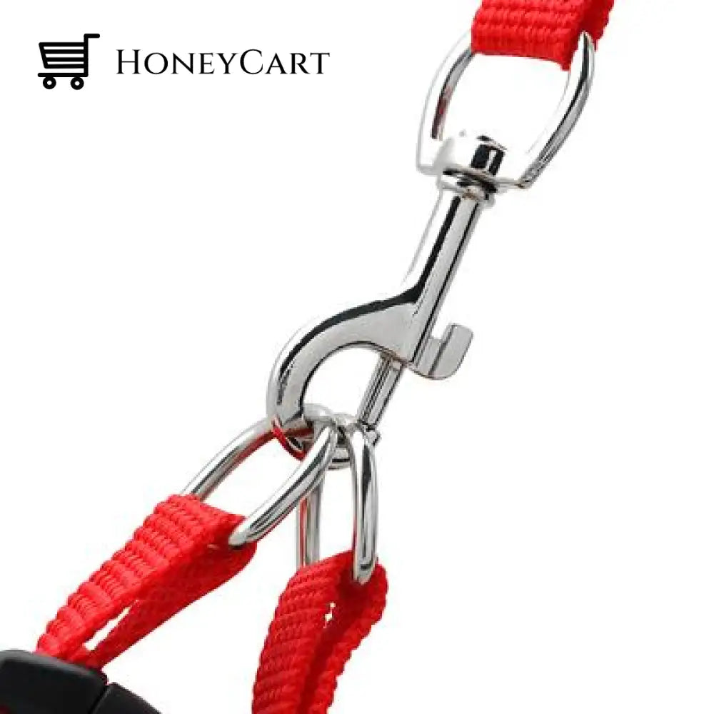 \The True Adventurer\ Reflective Cat & Kitten Harness And Leash Set Wjj-0722