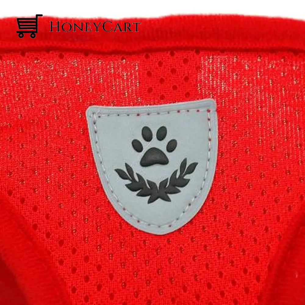 \The True Adventurer\ Reflective Cat & Kitten Harness And Leash Set Wjj-0722