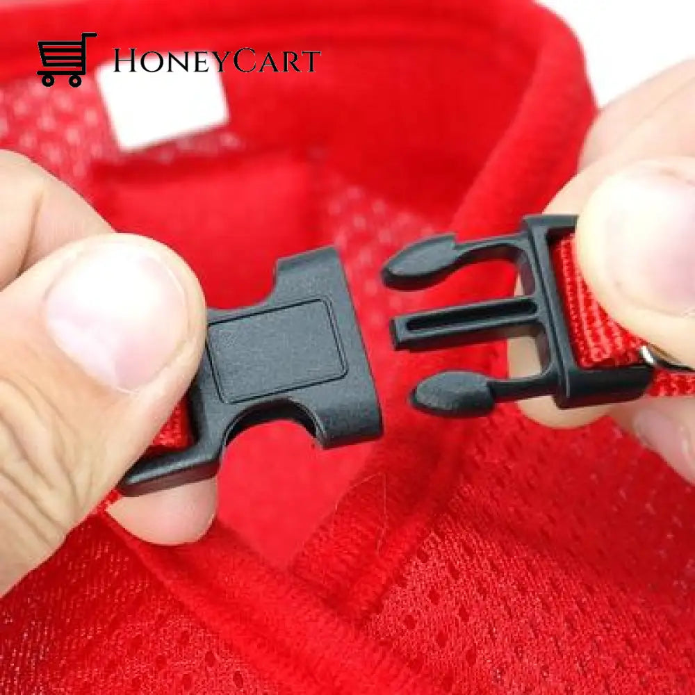 \The True Adventurer\ Reflective Cat & Kitten Harness And Leash Set Wjj-0722