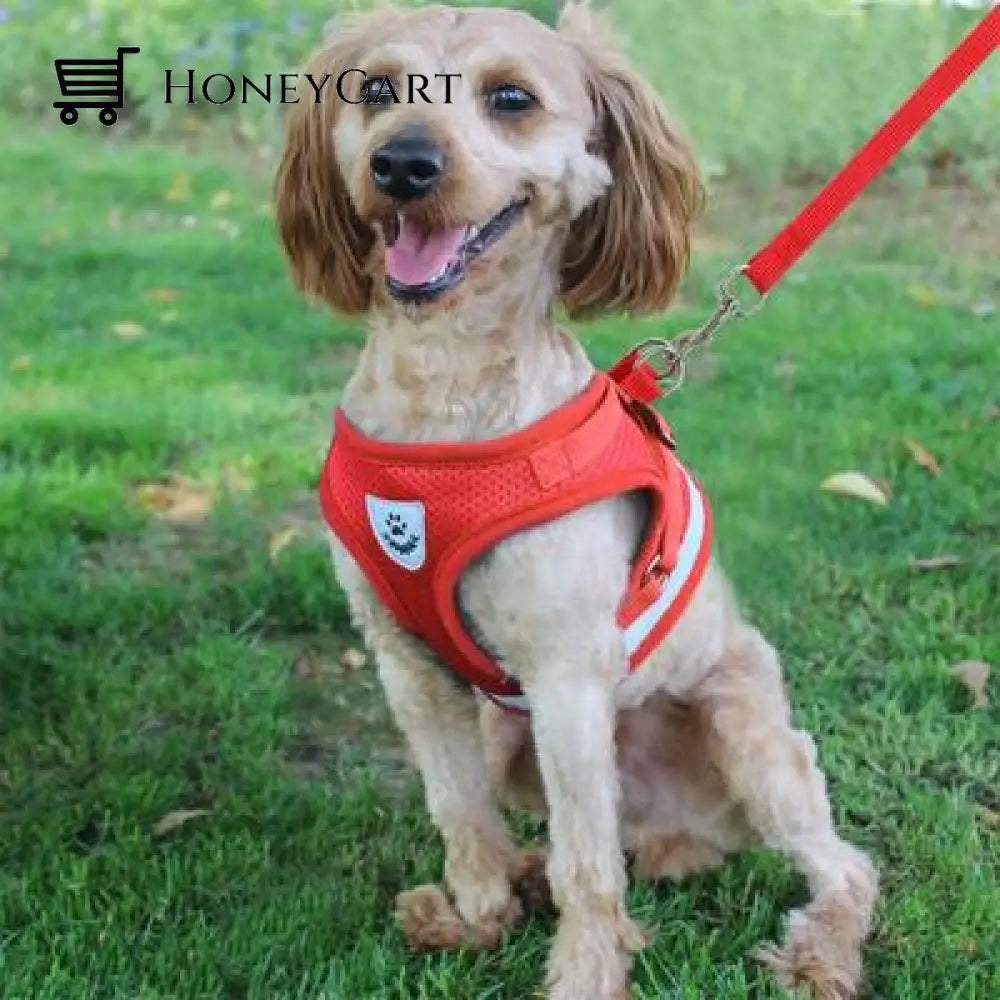 \The True Adventurer\ Reflective Cat & Kitten Harness And Leash Set Wjj-0722