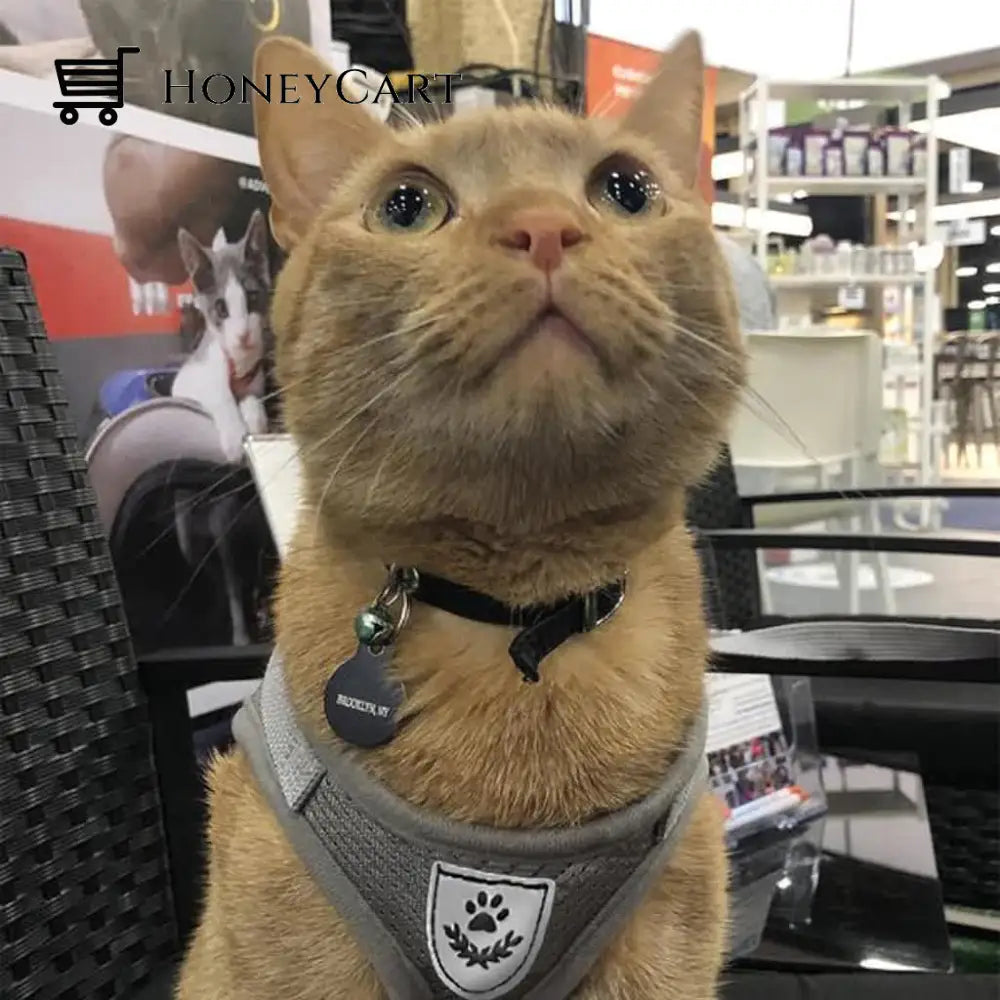 \The True Adventurer\ Reflective Cat & Kitten Harness And Leash Set Wjj-0722