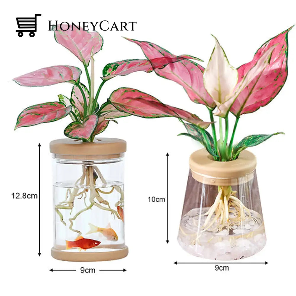 Transparent Hydroponic Flower Pot L Cone