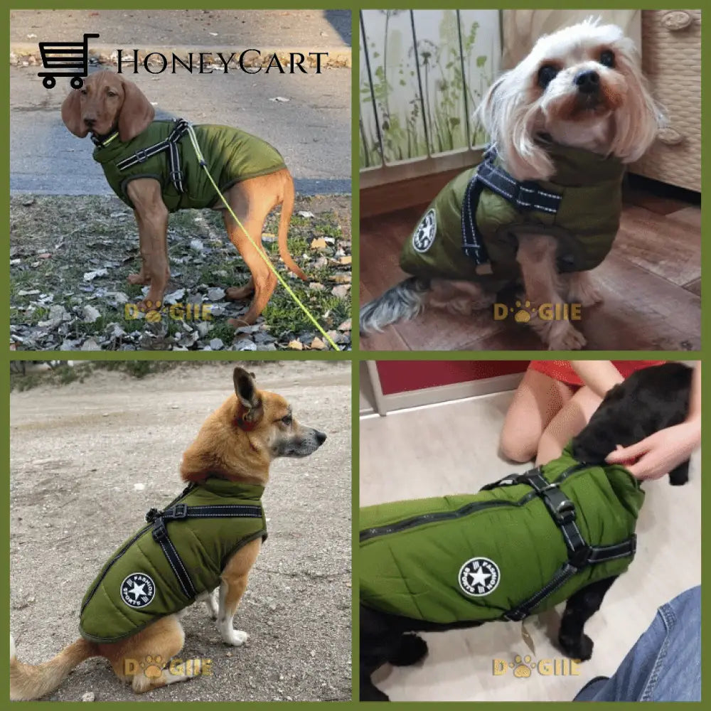 Waterproof Winter Jacket With Built In Harness Green / S Tool