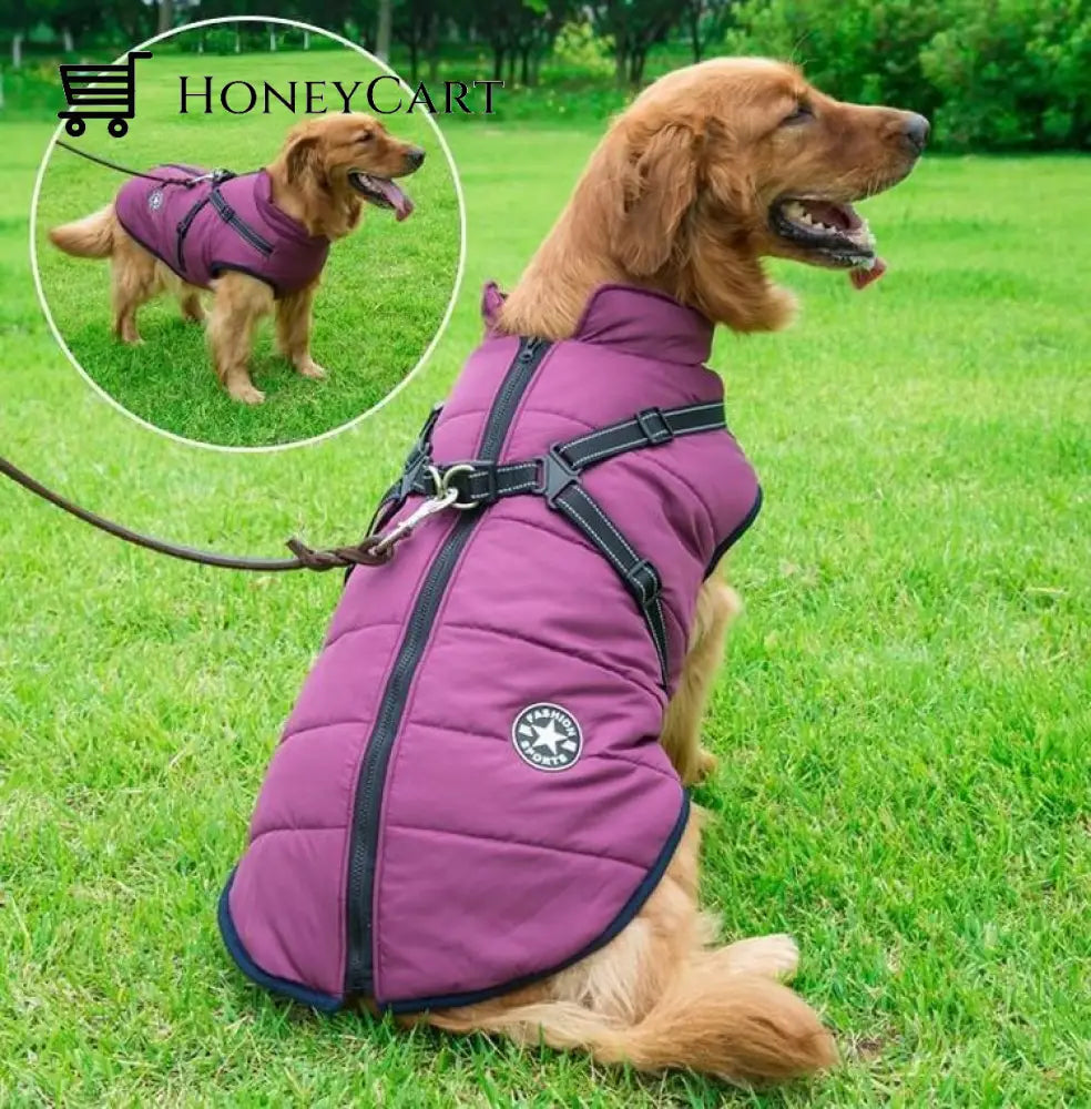 Waterproof Winter Jacket With Built In Harness Purple / S Tool