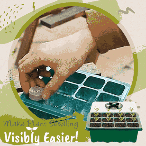 Mini Greenhouse Nursery Tray(50% OFF)