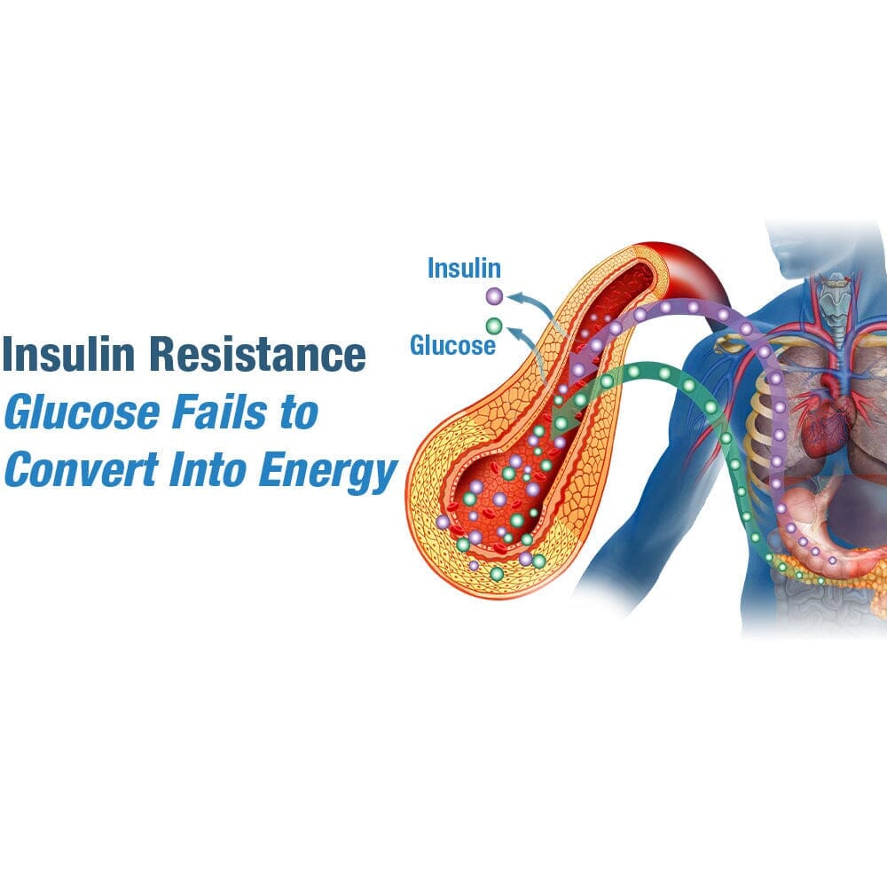 GFOUK™ GlycoWave Electric Pulse-Device