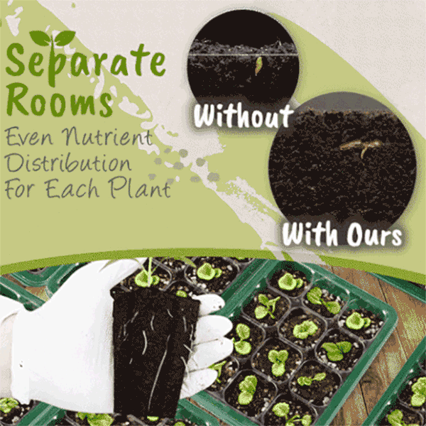 Mini Greenhouse Nursery Tray(50% OFF)