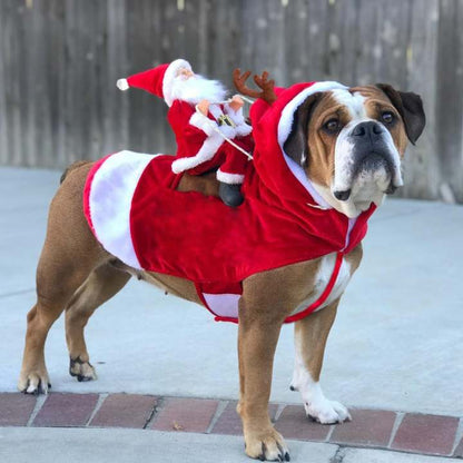 Santa Rider Dog Costume – Dog Christmas Outfit