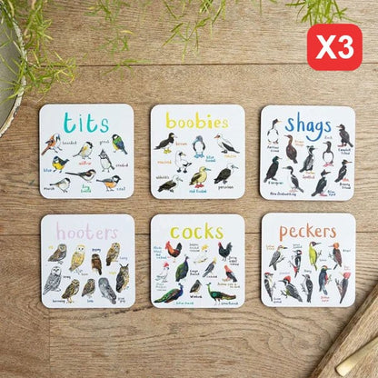Set of 4 Bird Pun Coasters