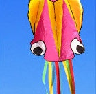 3D 4M Large Octopus Kite with Handle Line