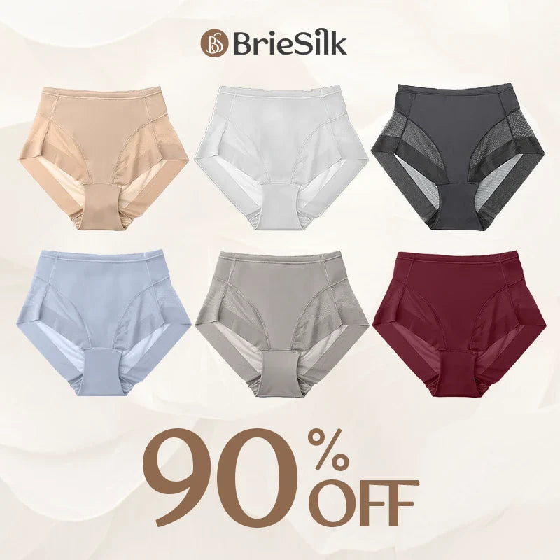 BrieSilk – Ice Silk High Waist Hiplift Panties