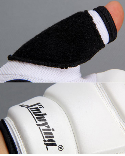 Boxing Gloves / Taekwondo Gloves