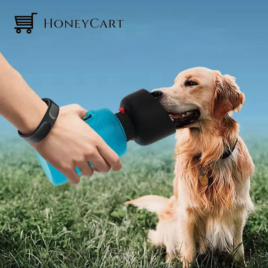 2In1 Foldable Travel Pet Water Bottle Bowl Mats