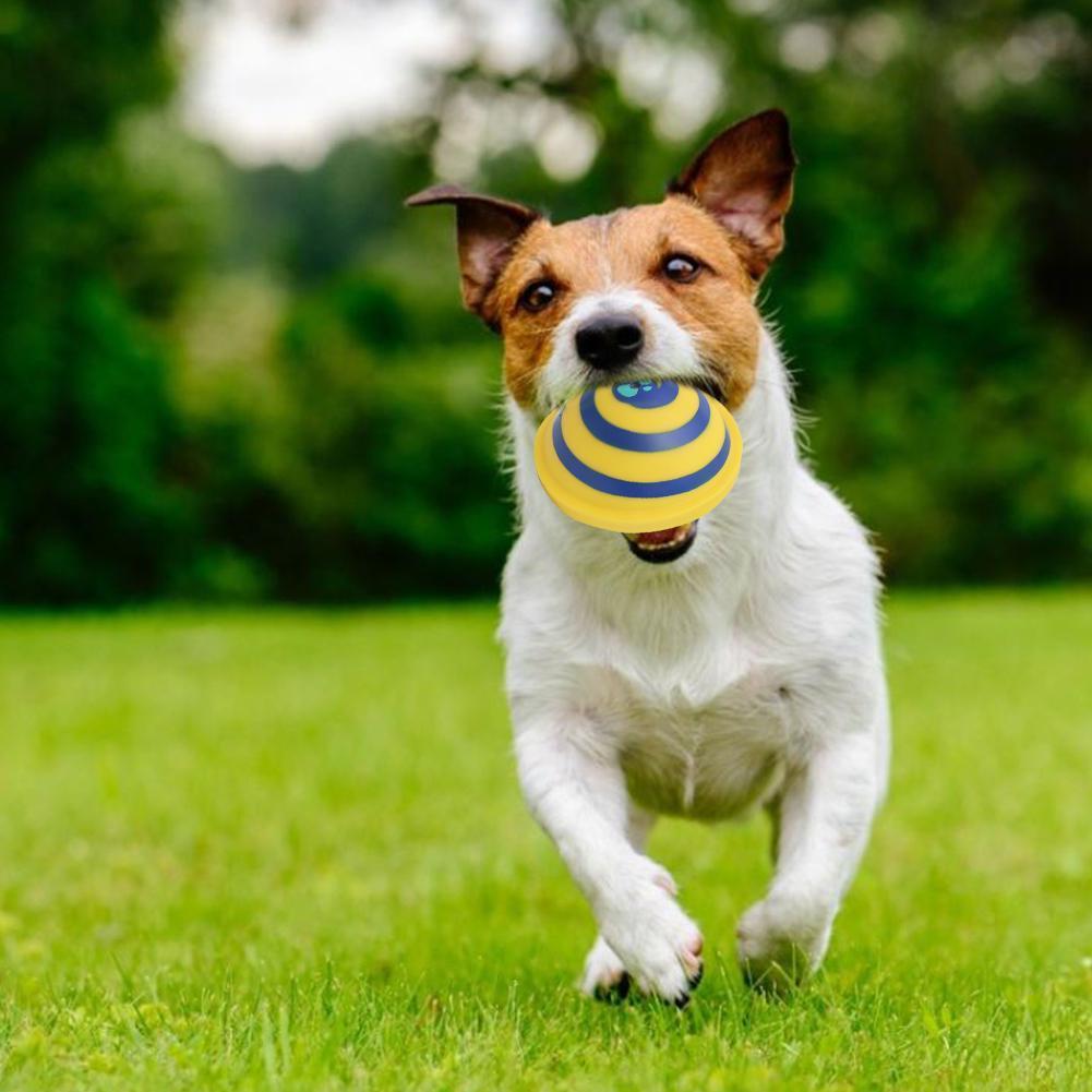 Woof Glider - Soft and Safe Indoor Play Toy for Dogs