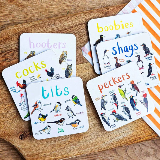 Set of 4 Bird Pun Coasters