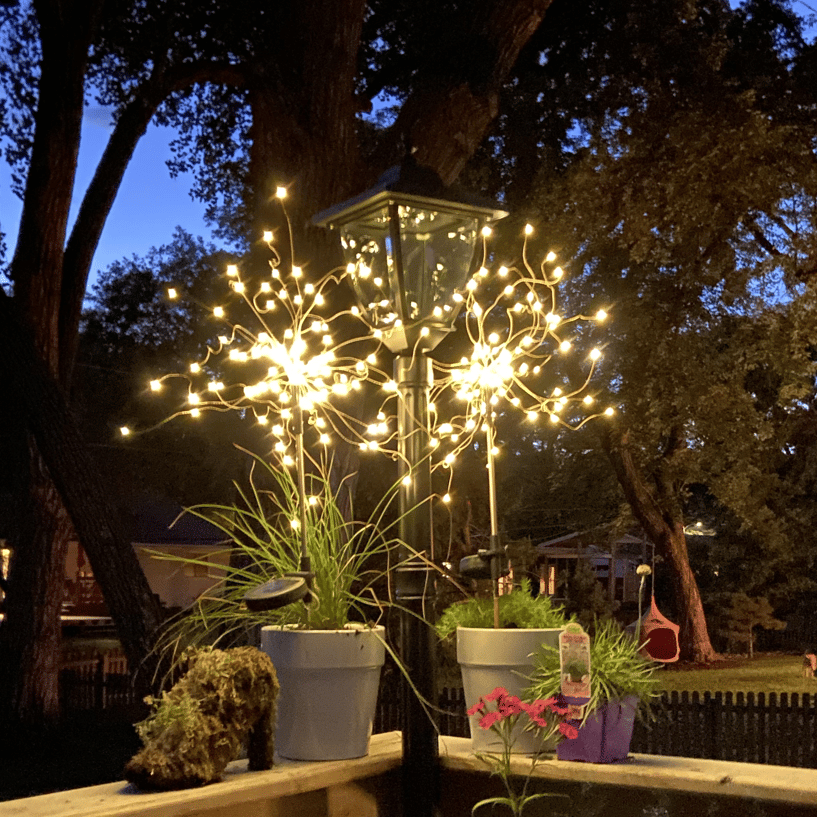 Outdoor Solar Garden Lights