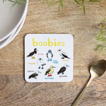 Set of 4 Bird Pun Coasters