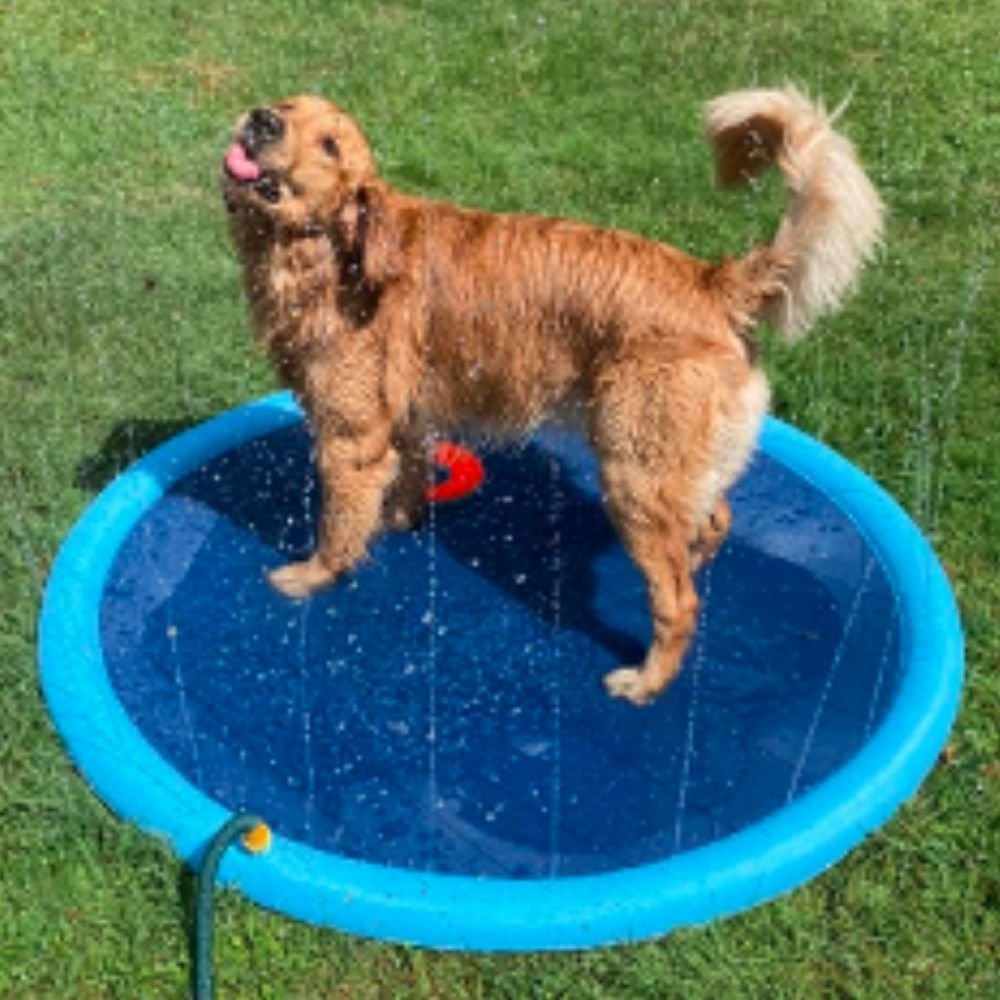 Non-Slip Splash Pad for Kids and Dog