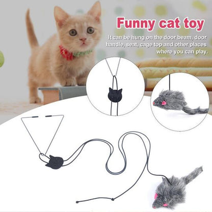 A-Door-Able Bouncing Mouse Cat Toy