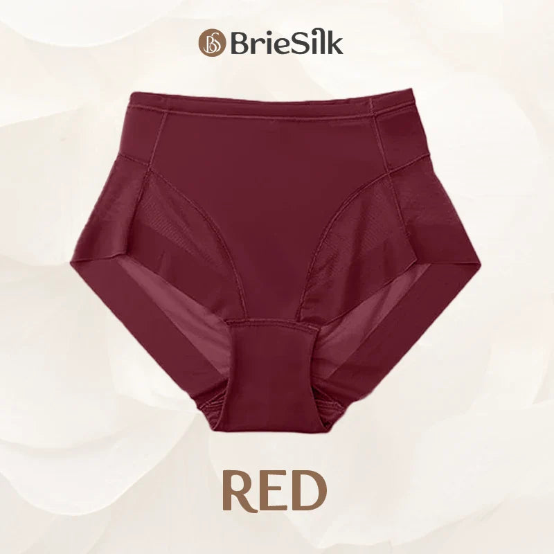 BrieSilk – Ice Silk High Waist Hiplift Panties