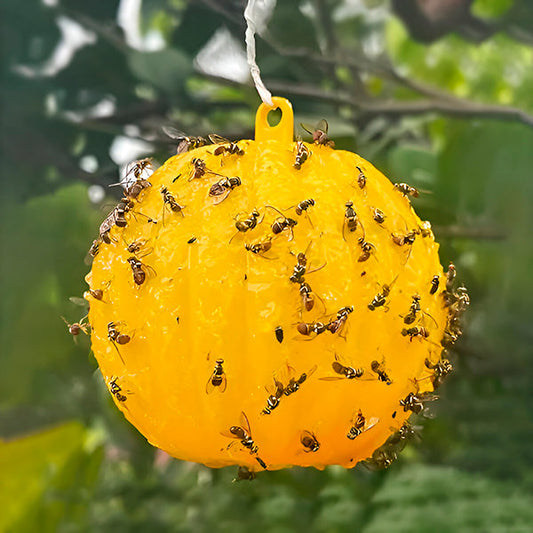 Hanging Fly Trap with Adhesive Layer (6 Pcs)