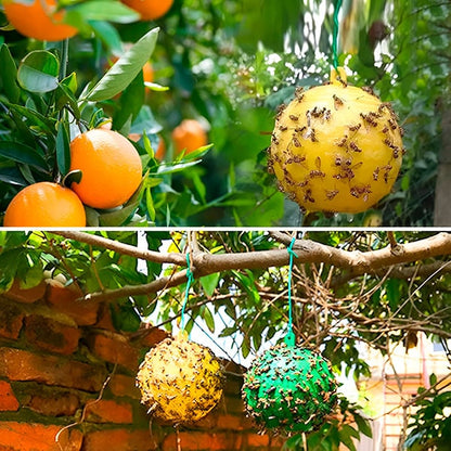 Hanging Fly Trap with Adhesive Layer (6 Pcs)