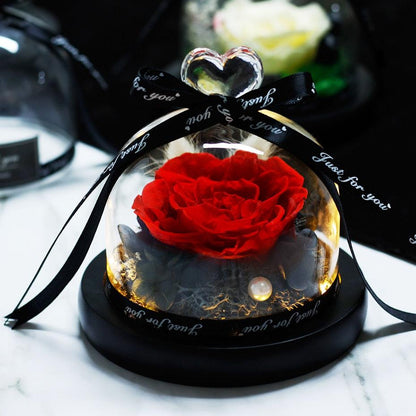 Natural Everlasting Rose in Glass Dome Beauty and the Beast Dried Flowers Birthday Valentine's Day Wedding Gift For Home Decor