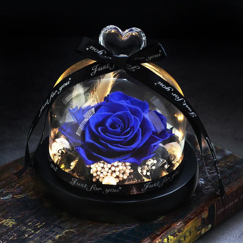 Natural Everlasting Rose in Glass Dome Beauty and the Beast Dried Flowers Birthday Valentine's Day Wedding Gift For Home Decor