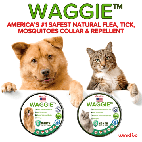 Waggie™ - Natural Anti-Flea, Tick, & Mosquito Collar (Human-Grade 8+ Months Protection)