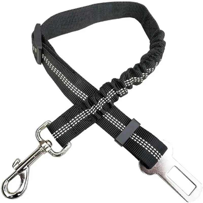 2-in-1 Bungee Dog Leash & Car Seat Belt