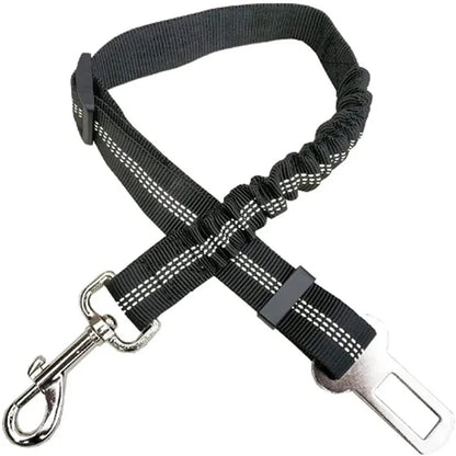2-in-1 Bungee Dog Leash & Car Seat Belt