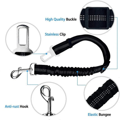 2-in-1 Bungee Dog Leash & Car Seat Belt