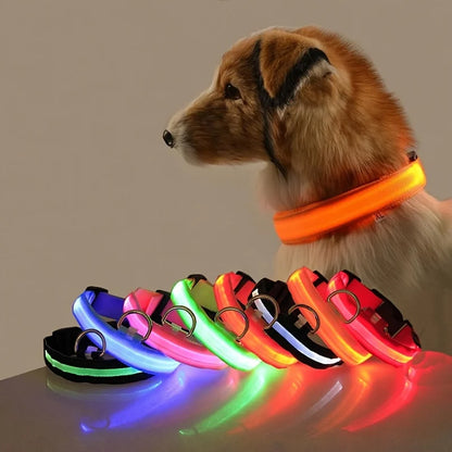 LED Dog Collar Glow In The Dark Night Safety Luminous Fall 2026 Trend Perfect Gift Idea