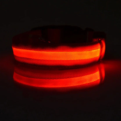 LED Dog Collar Glow In The Dark Night Safety Luminous Fall 2026 Trend Perfect Gift Idea