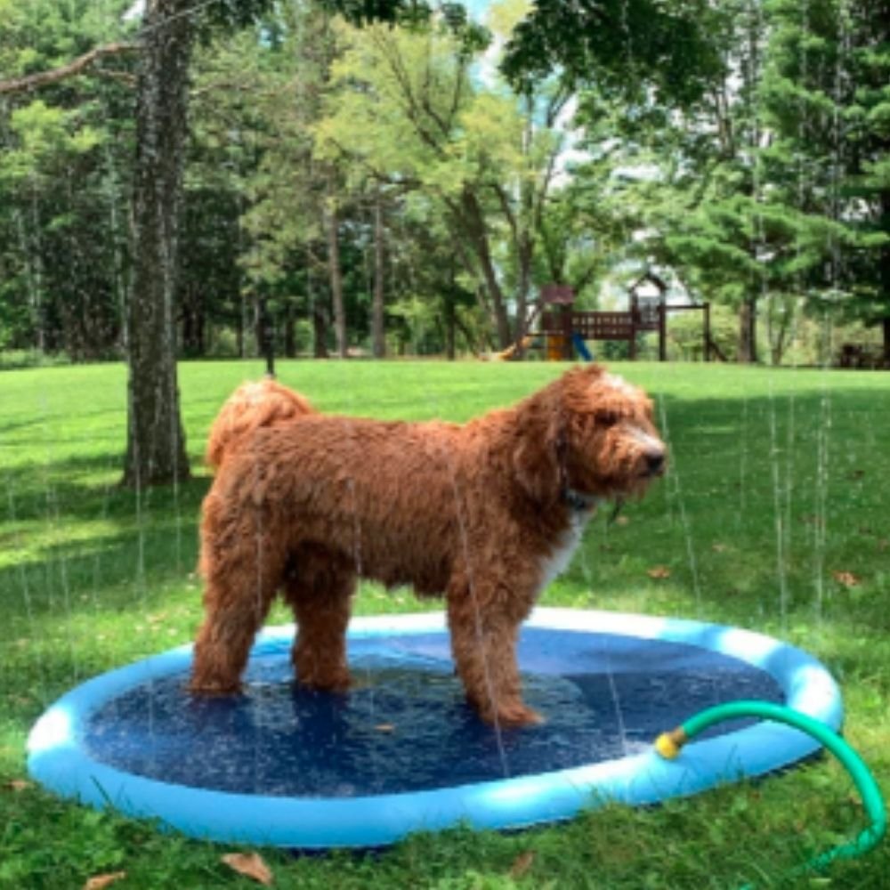 Non-Slip Splash Pad for Kids and Dog