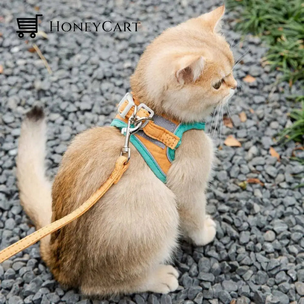 Adjustable Cat Walking Harness