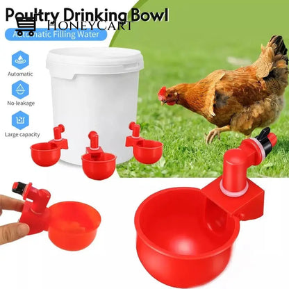 Automatic Chicken Cup Waterer: Auto Poultry Water