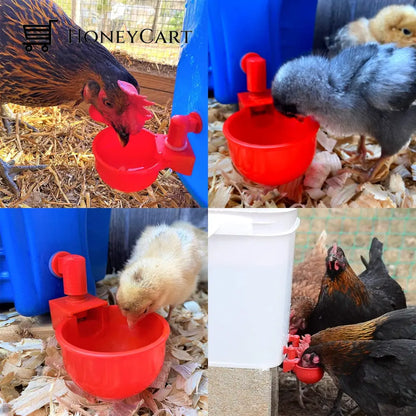 Automatic Chicken Cup Waterer: Auto Poultry Water