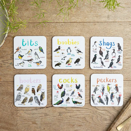 Set of 4 Bird Pun Coasters