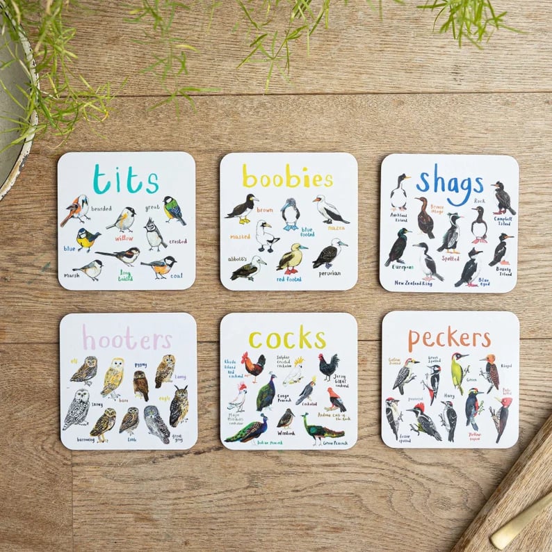 Set of 4 Bird Pun Coasters