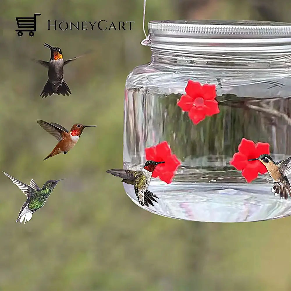 Beautiful Mason Jar Hummingbird Feeder W/ Three Ports