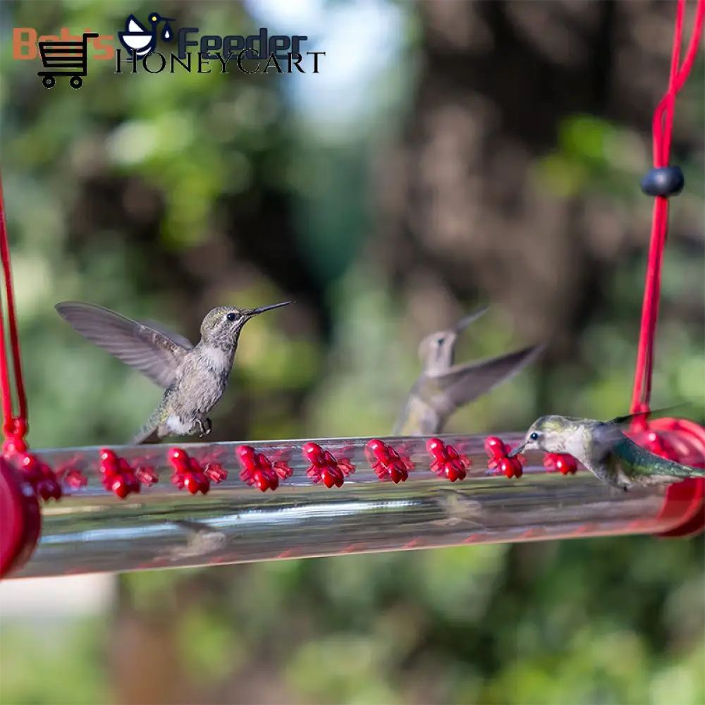 Bobs Hummingbird Feeder 15.7 Bird