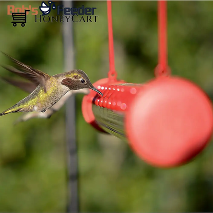 Bobs Hummingbird Feeder 15.7 Bird