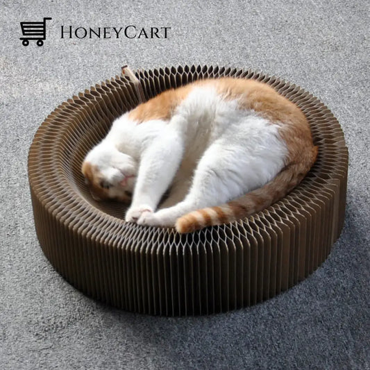 Cat Magic Foldable Scratch Toy Board Toys