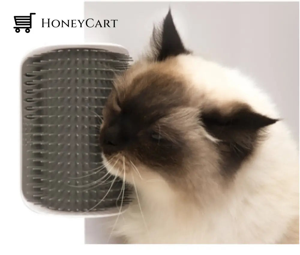 Cat Self Grooming Brush Gray Silicon